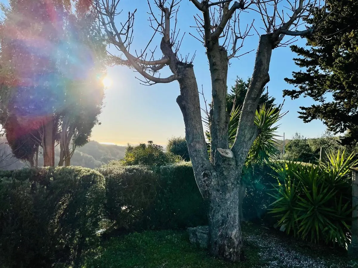 Appartamento Casetta Luna e Sole Montescudaio